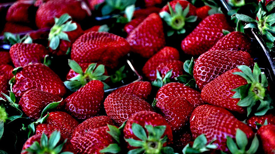 Strawberry Syrup – No Frozen Monstrosities Inside