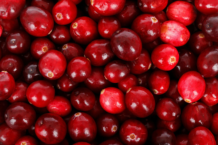 The Cranberry Extravaganza