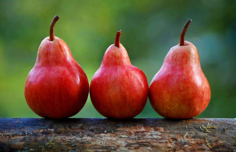 Pears And Chocolate