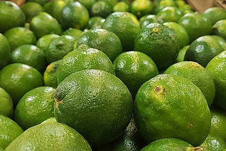 Limes